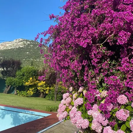 Casa La Choza, Con Piscina En La Playa De