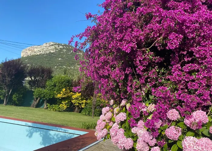 Casa La Choza, Con Piscina En La Playa De
